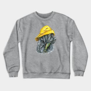 Newfoundland Dog in Sou'wester Hat with Fish Crewneck Sweatshirt